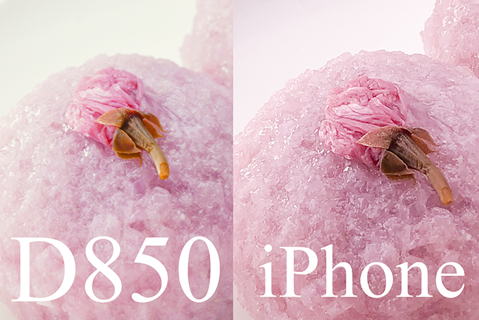 200302桜餅D850vsiPhone.jpg